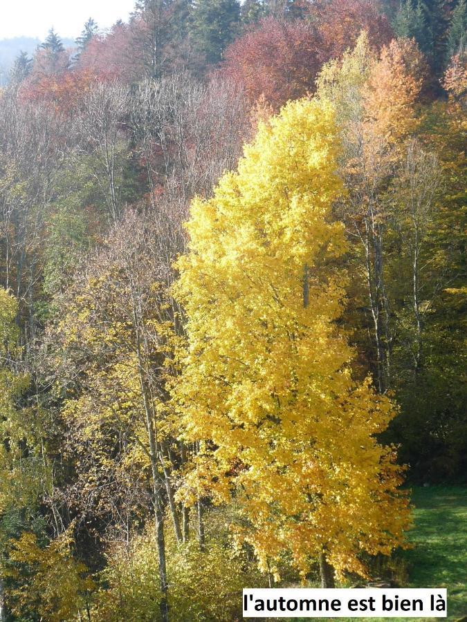 Le Chalet Bel Air Oderen Eksteriør bilde