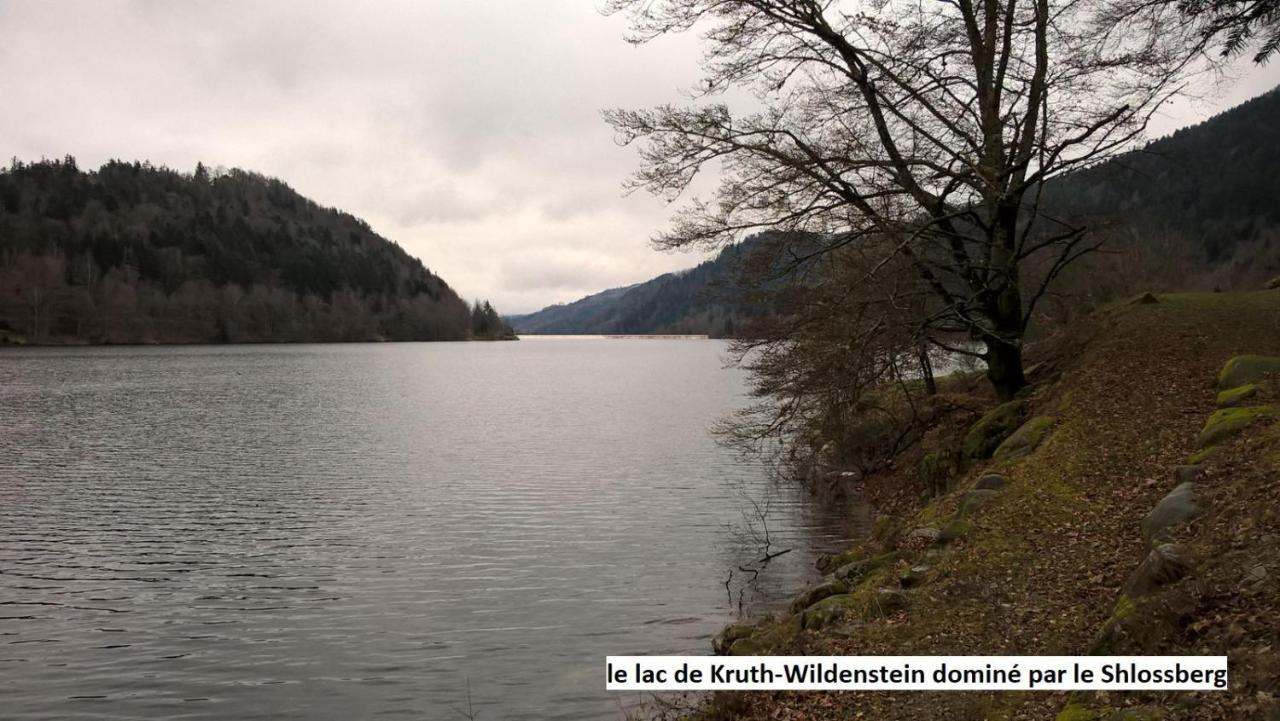 Le Chalet Bel Air Oderen Eksteriør bilde